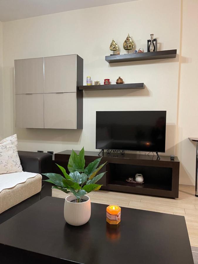 Apartment Cozy In The Of *